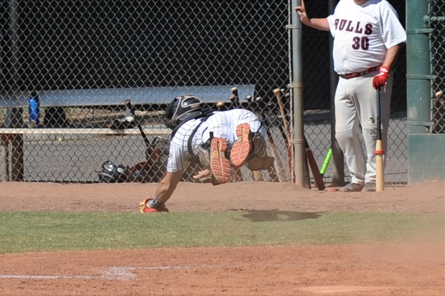 Seals_2019-10-09 (316).JPG - (c)2010 DeVetter